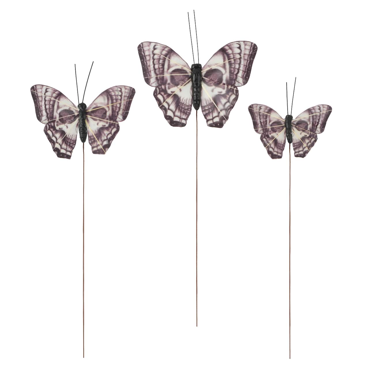 Black & White Skull Butterfly Set by Ashland®